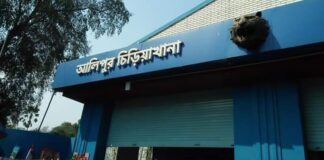 alipore zoo