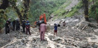 darjeeling Rain