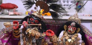 শান্তিপুরের বৈষ্ণব রাস, আর নবদ্বীপের শাক্ত রাস, দুইয়ের মধ্যে পার্থক্য কোথায়?