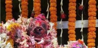 দোল উৎসবের জৌলুস কমেছে, তবে আজও অটুট বনেদীয়ানা